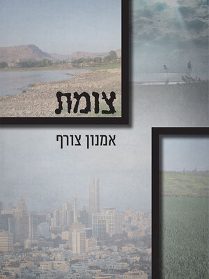 cover image of צומת